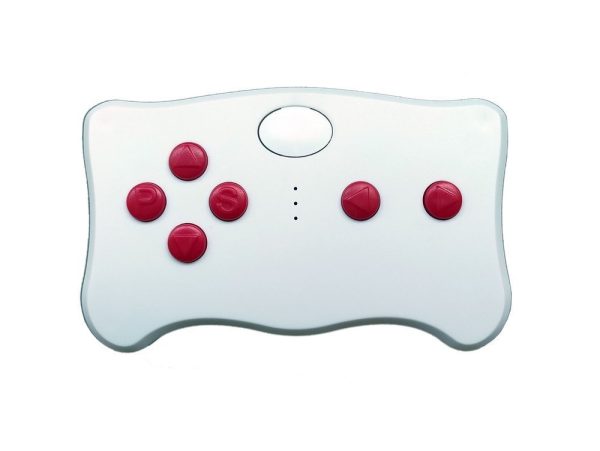 Remote Control TX10 2.4G with Module FC